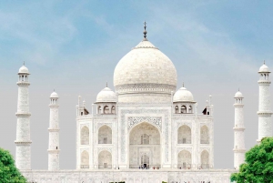 Visite du Taj Mahal au lever du soleil en compagnie d'un éléphant ou d'un ours du centre de sauvetage