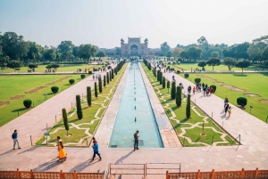 Visite du Taj Mahal au lever du soleil en compagnie d'un éléphant ou d'un ours du centre de sauvetage