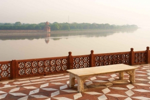 Visite du Taj Mahal au lever du soleil en compagnie d'un éléphant ou d'un ours du centre de sauvetage