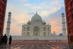 Visite du Taj Mahal au lever du soleil en compagnie d'un éléphant ou d'un ours du centre de sauvetage