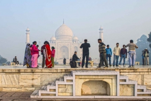 Taj Mahal Sunrise Tour med Elephant eller Bear Rescued Centre