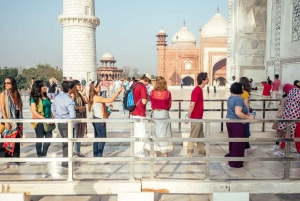 Visite du Taj Mahal au lever du soleil en compagnie d'un éléphant ou d'un ours du centre de sauvetage