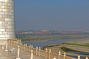 Taj Mahal Sunrise Tour med elefant eller bjørneredningscenter