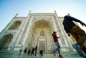 Taj Mahalin auringonnousun retki norsun tai karhun kanssa Pelastettu keskus