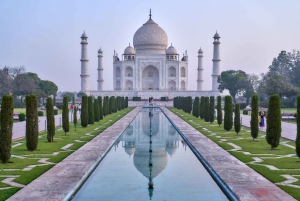 Depuis Delhi : visite privée du Taj Mahal en train super rapide