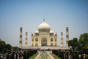 Depuis Delhi : visite privée du Taj Mahal en train super rapide