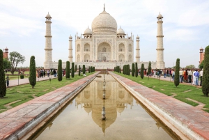 Depuis Delhi : visite privée du Taj Mahal en train super rapide