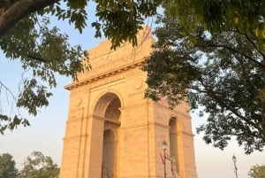 La experiencia completa de Delhi: tour de día completo en coche
