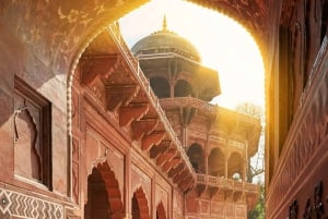 La experiencia completa de Delhi: tour de día completo en coche