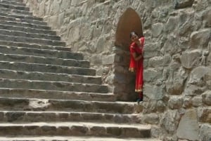 La experiencia completa de Delhi: tour de día completo en coche