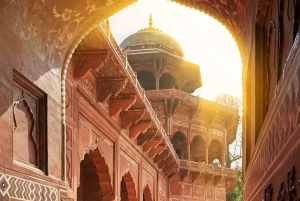 Den komplette Delhi-opplevelsen: heldagstur med bil