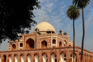 Den komplette Delhi-opplevelsen: heldagstur med bil