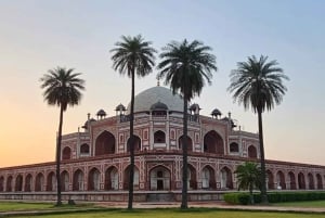 Den komplette Delhi-opplevelsen: heldagstur med bil