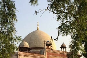 Den komplette Delhi-opplevelsen: heldagstur med bil