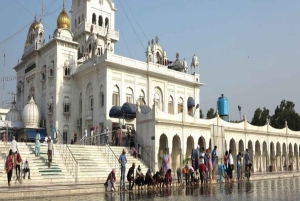 Den komplette Delhi-opplevelsen: heldagstur med bil