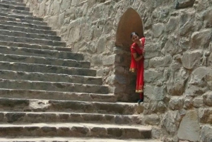 Den komplette Delhi-opplevelsen: heldagstur med bil