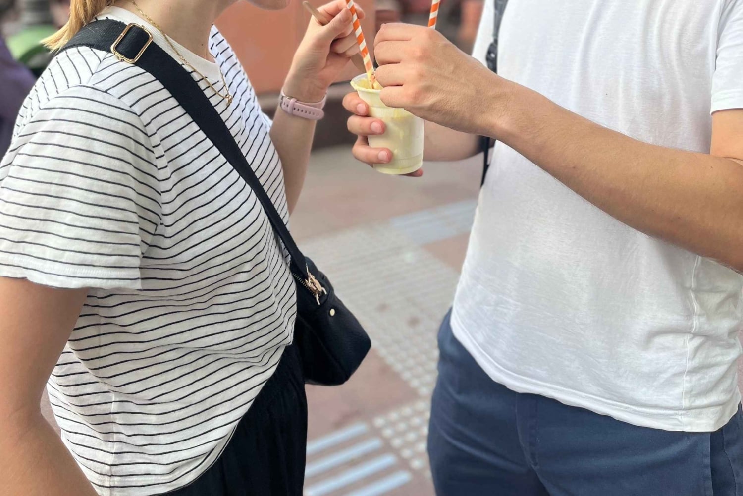 グレート・インド・フード・ツアーオールドデリーの食と歴史散策