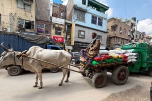 Delhis trådar: Kvinnostyrda monument, arv och hantverkstur