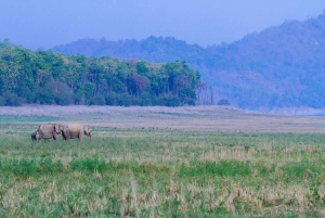 Tre dages tur til Jim Corbett National Park