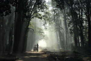 Tre dagers omvisning i Jim Corbett nasjonalpark