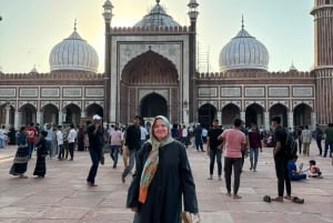 Tour to old delhi with guide and transfer