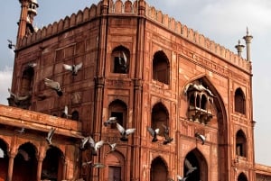 Gå og udforsk Old Delhi: Guidet tur til fods med en lokal guide