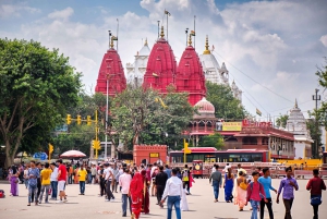 Gå og udforsk Old Delhi: Guidet tur til fods med en lokal guide