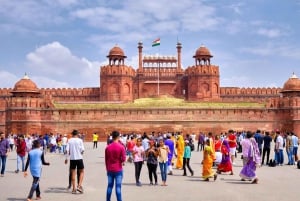 Walk & Explore Old Delhi: Guided Tour by Foot with a Local