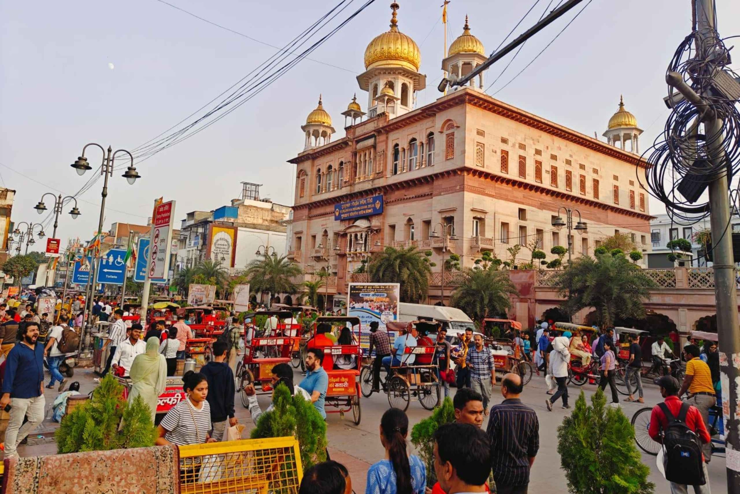 Walking tour of Old Delhi includes One Meal & Rickshaw ride