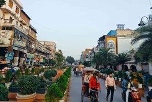Walking tour of Old Delhi includes One Meal & Rickshaw ride