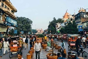 Walking tour of Old Delhi includes One Meal & Rickshaw ride