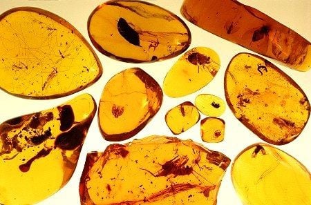 Amber stones 