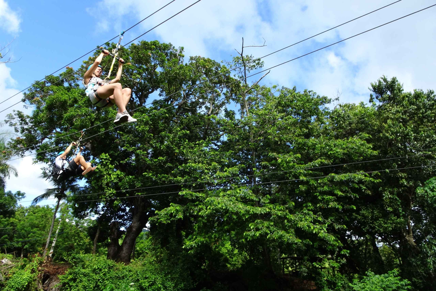 27 Chutes d'eau : Aventure Zip 'n Splash avec promenade à cheval