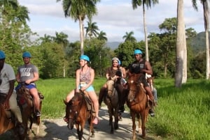 27 Chutes d'eau : Aventure Zip 'n Splash avec promenade à cheval
