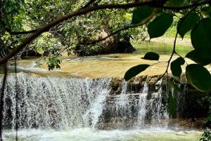 2in1: Los Haitises National Park + Yanigua Waterfall-SPA