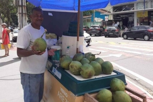 Visite panoramique de 3 heures de Punta Cana avec marché artisanal