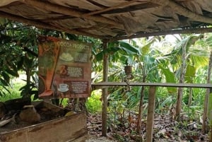 Visite panoramique de 3 heures de Punta Cana avec marché artisanal