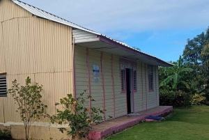 Visite panoramique de 3 heures de Punta Cana avec marché artisanal
