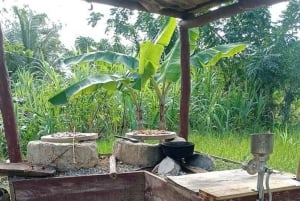 Visite panoramique de 3 heures de Punta Cana avec marché artisanal