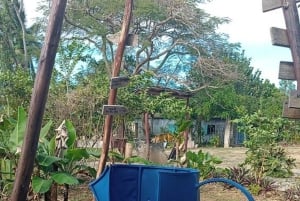 3-timers panoramatur i Punta Cana med håndverksmarked