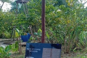 3-timers panoramatur i Punta Cana med håndverksmarked