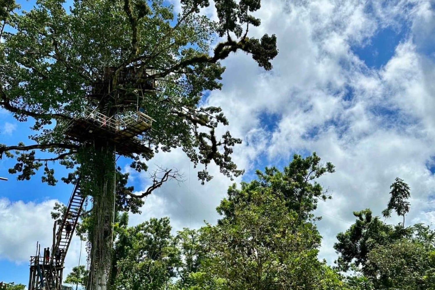 3-in-1: Los Haitises w/ Montaña Redonda & Yanigua Waterfalls