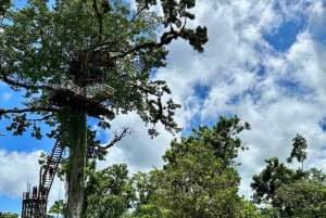 3-in-1: Los Haitises met Montaña Redonda & Yanigua watervallen