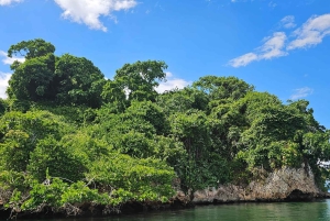 3-in-1: Los Haitises met Montaña Redonda & Yanigua watervallen