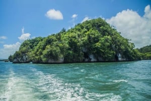 Los Haitises Park, Yanigua Waterfall, & Montaña Redonda Tour