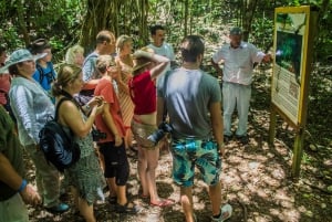 Los Haitises Park, Yanigua Waterfall, & Montaña Redonda Tour