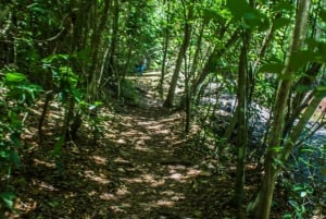 Los Haitises Park, Yanigua-vandfald og Montaña Redonda-tur