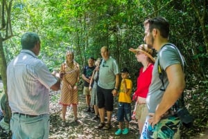 Los Haitises Park, Yanigua Waterfall, & Montaña Redonda Tour