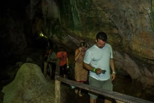 Los Haitises Park, Yanigua Waterfall, & Montaña Redonda Tour