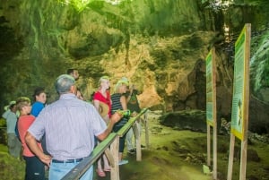 Los Haitises Park, Yanigua Waterfall, & Montaña Redonda Tour